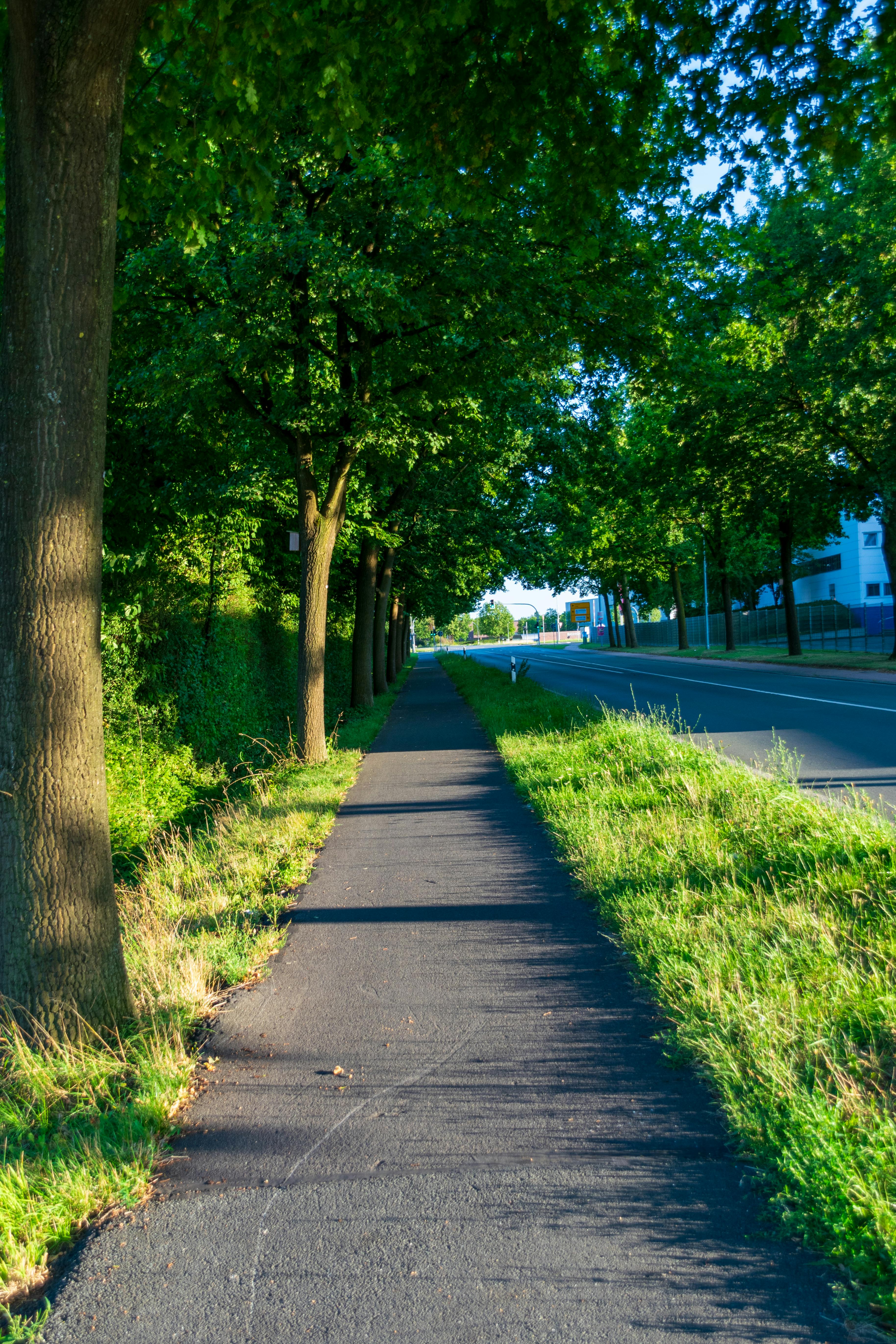 Környezetmenedzsment - Természethez közeli utca